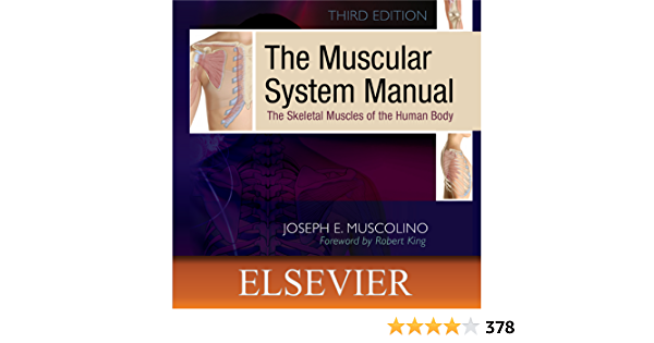 The Muscular System Manual: The Skeletal Muscles of the Human Body